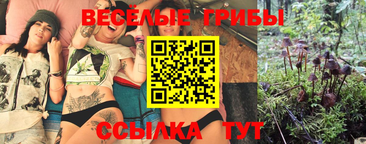 Псилоцибиновые грибы MAGIC MUSHROOMS Югорск